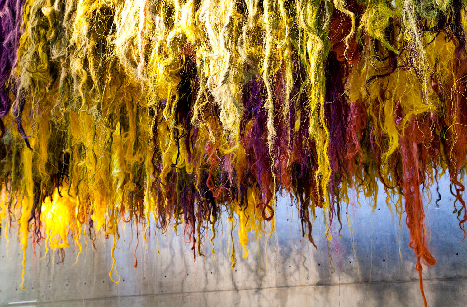 EXPO GALERIA eafit_1.jpg